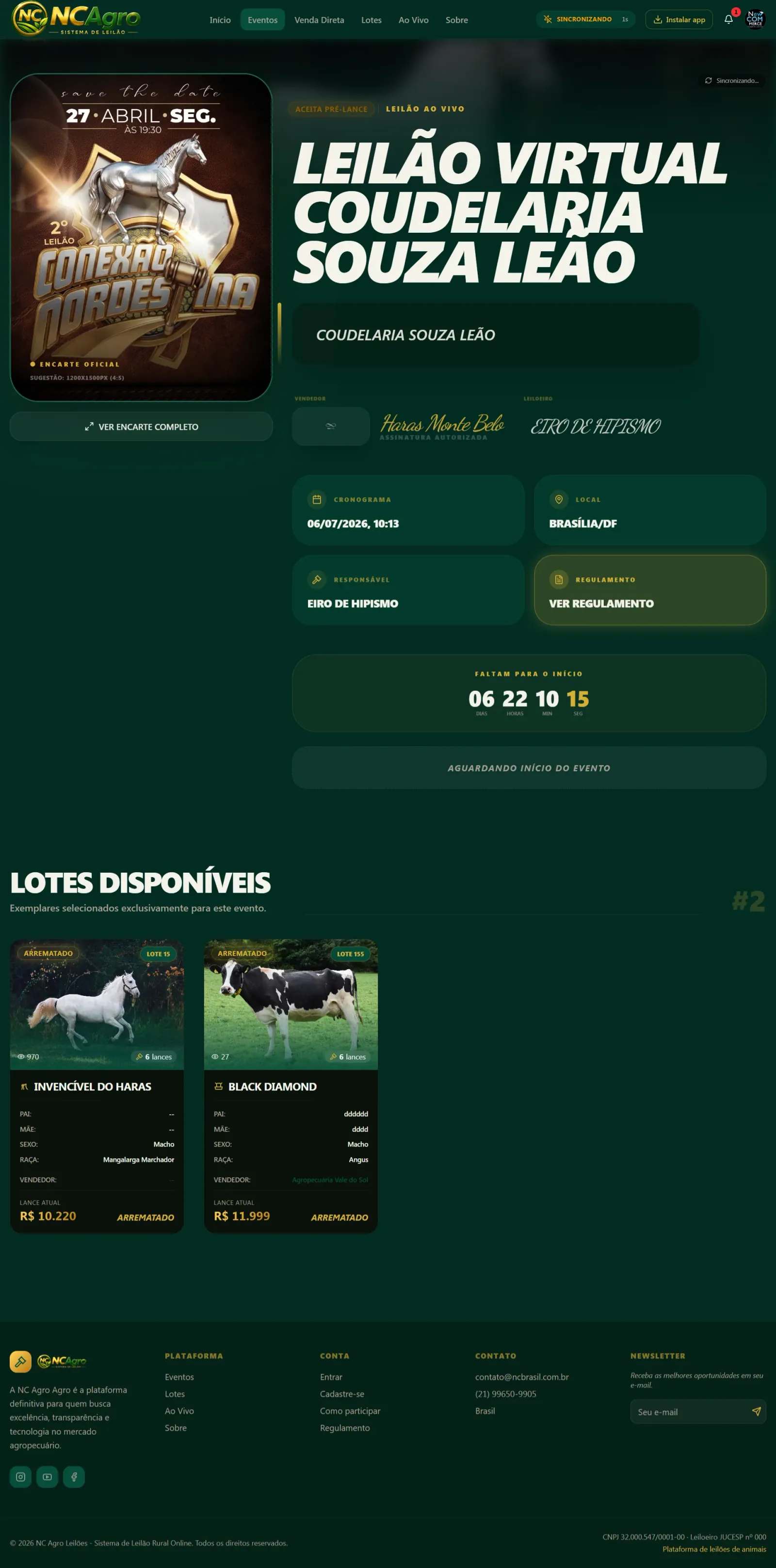 Tela de pregão ao vivo do sistema de leilão de cavalos com transmissão HD e lances online em tempo real